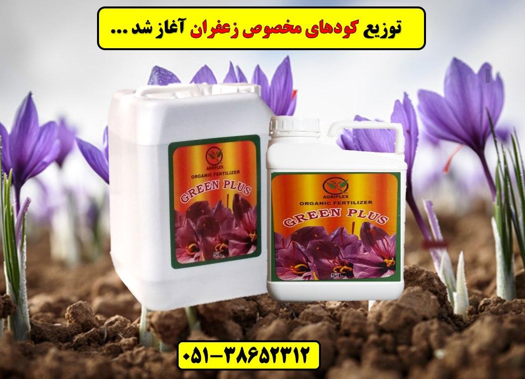 کود زعفران.Saffron fertilizer.قیمت کود زعفران.کود مایع زعفران بیرجند و قاین زیر قیمت