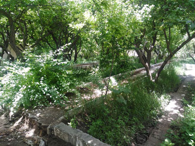 1000 متر باغچه ی مشجر چهار دیواری در شهریار