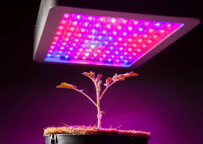 لامپ رشد گیاه - قیمت انواع چراغ های رشد گیاه