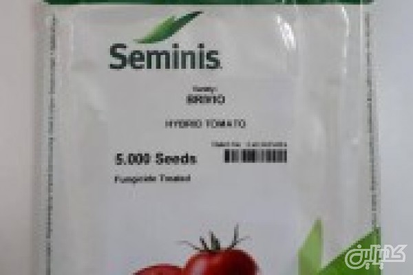بذر گوجه فرنگی متین در بسته بندی ۵۰۰۰