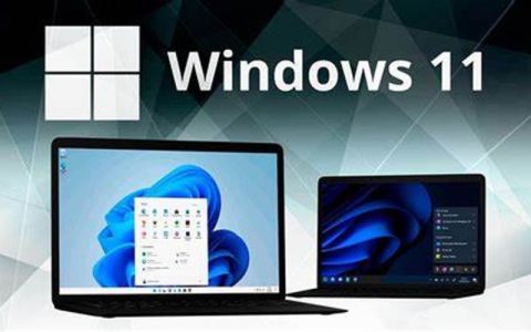 لایسنس Windows 11 Education , Windows 11 Education اورجینال , Windows 11 Education Original