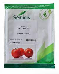 بذر گوجه فرنگی بلاریوا سمینیس بذر گوجه Bellariva