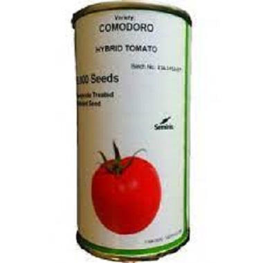 بذر گوجه فرنگی کومودورو سمینیس بذر گوجه COMODORO