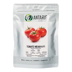 بذر گوجه فرنگی me40014
