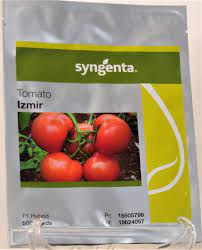 بذر گوجه فرنگی ازمیر بذر گوجه IZMIR سینجنتا