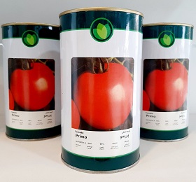 فروش بذر گوجه فرنگی پریمو فلات
