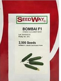بذر خیار بومبای