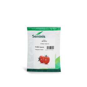 فروش بذر گوجه فرنگی بدرو 8702 سمینیس