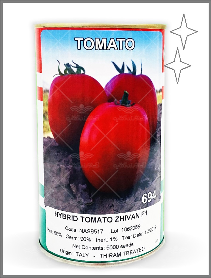 فروش بذر گوجه فرنگی ژیوان ناسکو آمریکا