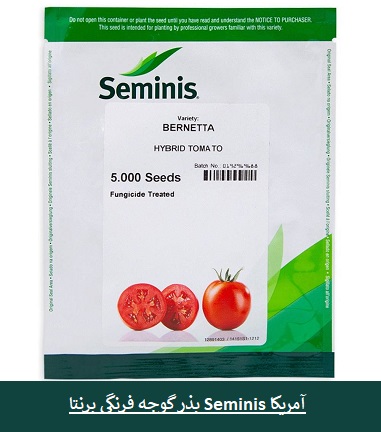 بذر گوجه bernetta ، پرفروش ترین بذر گوجه فرنگی