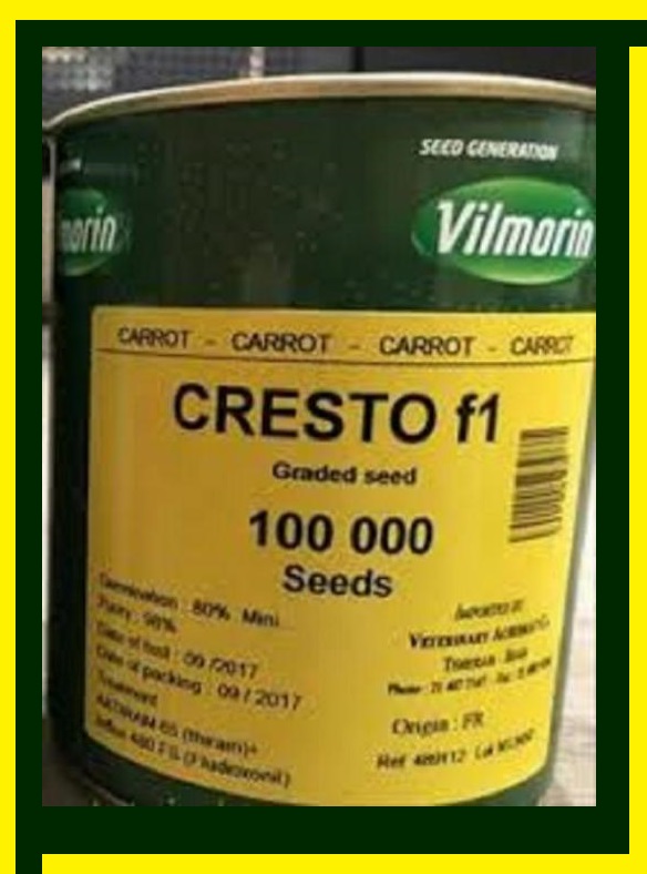 بذر هویج کریستو ویلیمورین