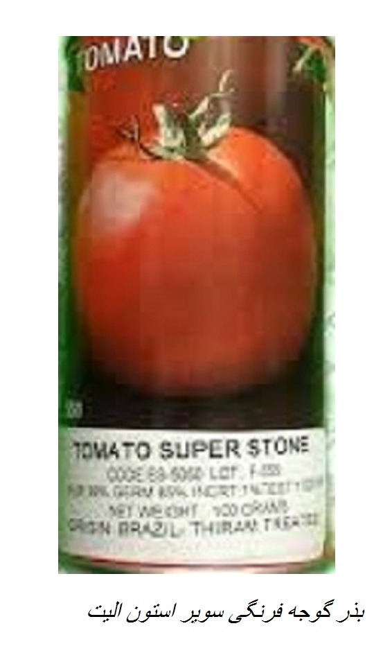 بذر گوجه فرنگی سوپر استون الیت