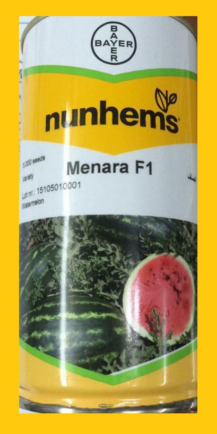 بذر هندوانه هیبرید منارا
