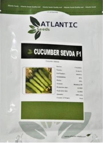 فروش بذر خیار گلخانه ای SEVDA F1