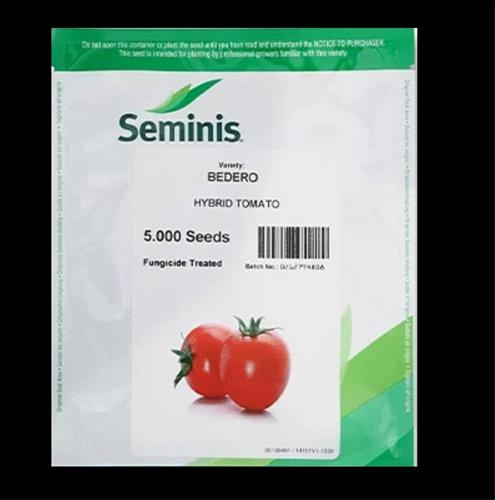 فروش بذر گوجه BEDERO سمینیس آمریکا