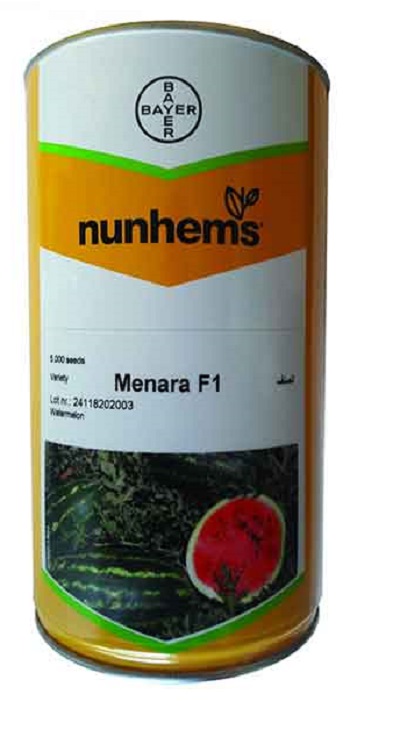 بذر هندوانه منارا