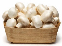  بذر قارچ (خوراکی- دکمه ای -صدفی)