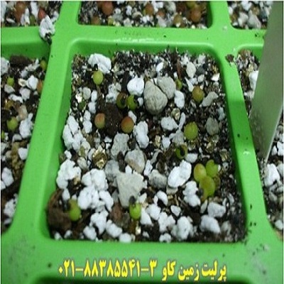  مزیت های استفاده از پرلیت در رشد و پرورش بذر Perlite