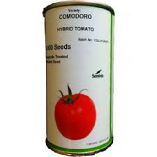  بذر گوجه فرنگی کومودورو،فروش بذر گوجه فرنگی کومودورو