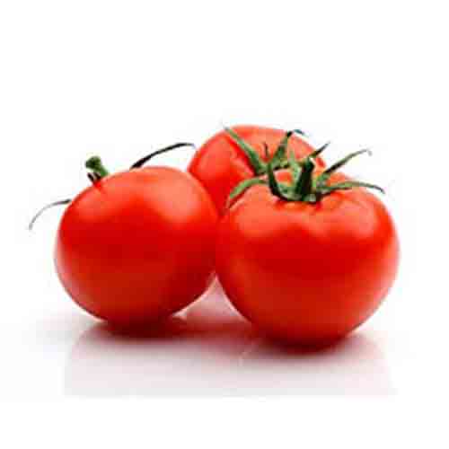  بذر گوجه فرنگی هنگام ، فروش بذر گوجه فرنگی هنگام