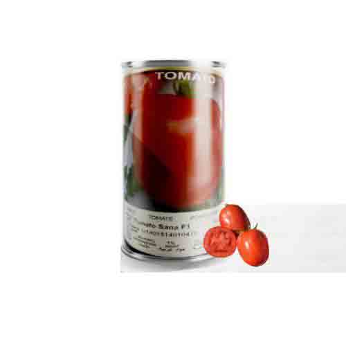  بذر گوجه فرنگی ثنا پربار مقاوم ارزان ، فروش بذر گوجه فرنگی ثنا پربار مقاوم ارزان