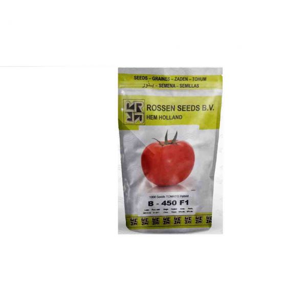  بذر گوجه گلخانه ای بی ۴۵۰ روزن سید هلند ، فروش بذر گوجه گلخانه ای بی ۴۵۰ روزن سید هلند