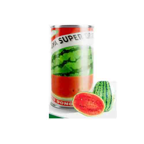  بذر هندوانه سوپر دراگون ، فروش بذر هندوانه سوپر دراگون